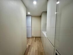 Skysuites@Anson (D2), Apartment #539874561
